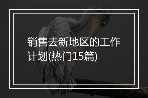 销售去新地区的工作计划(热门15篇)