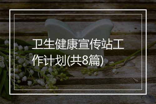 卫生健康宣传站工作计划(共8篇)