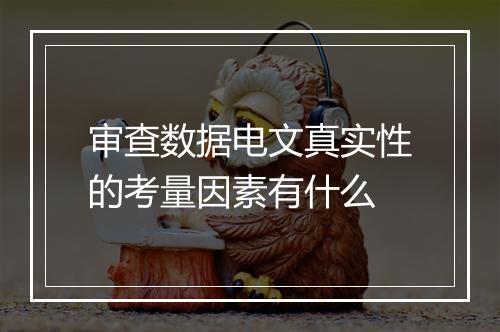 审查数据电文真实性的考量因素有什么