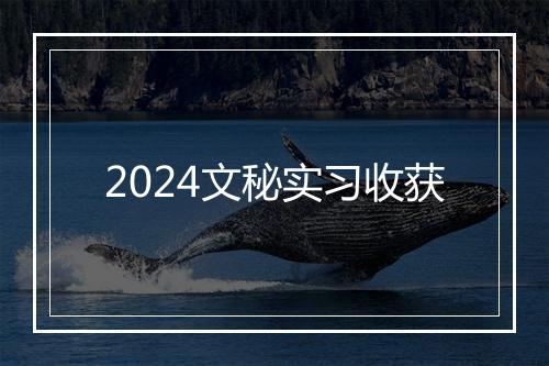 2024文秘实习收获