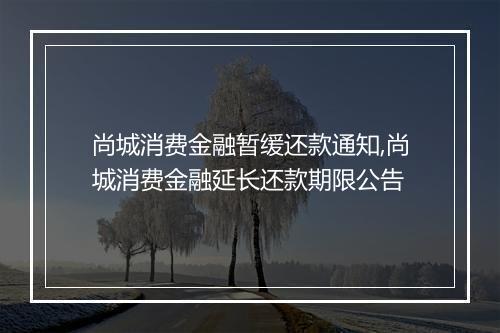 尚城消费金融暂缓还款通知,尚城消费金融延长还款期限公告
