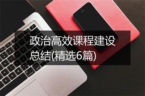 政治高效课程建设总结(精选6篇)