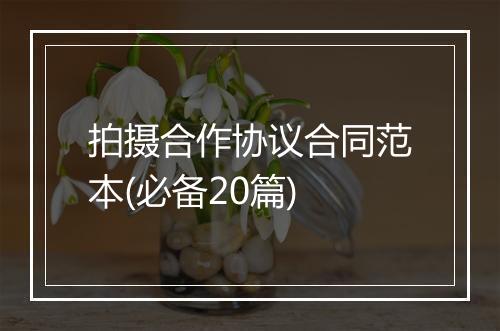 拍摄合作协议合同范本(必备20篇)