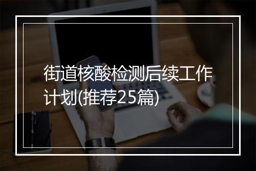 街道核酸检测后续工作计划(推荐25篇)