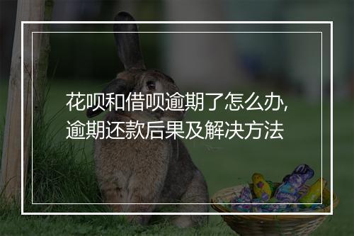 花呗和借呗逾期了怎么办,逾期还款后果及解决方法