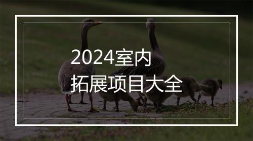 2024室内拓展项目大全
