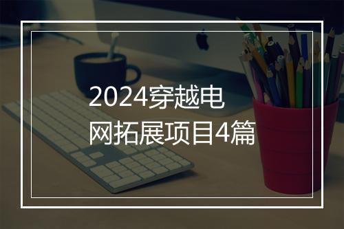 2024穿越电网拓展项目4篇