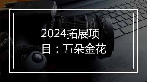2024拓展项目：五朵金花