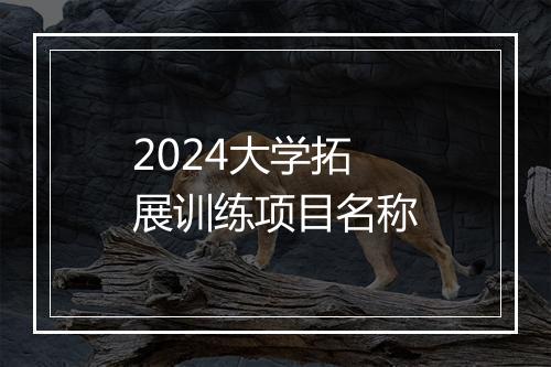 2024大学拓展训练项目名称