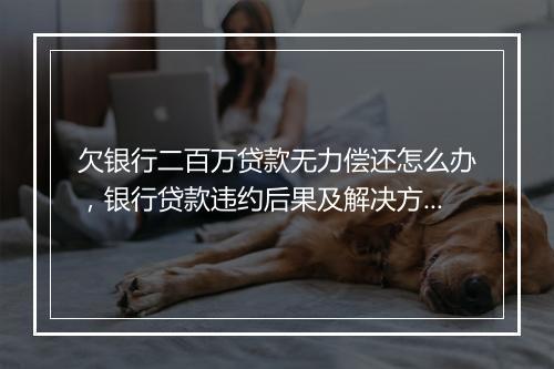欠银行二百万贷款无力偿还怎么办，银行贷款违约后果及解决方案