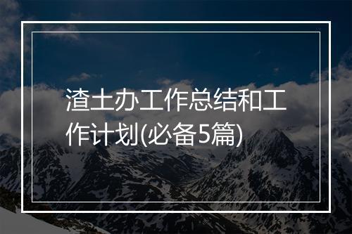 渣土办工作总结和工作计划(必备5篇)