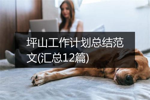 坪山工作计划总结范文(汇总12篇)