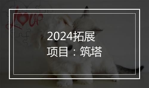 2024拓展项目：筑塔