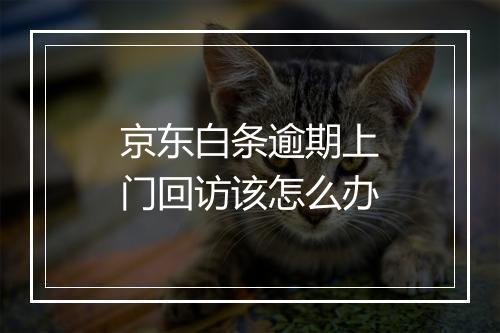 京东白条逾期上门回访该怎么办