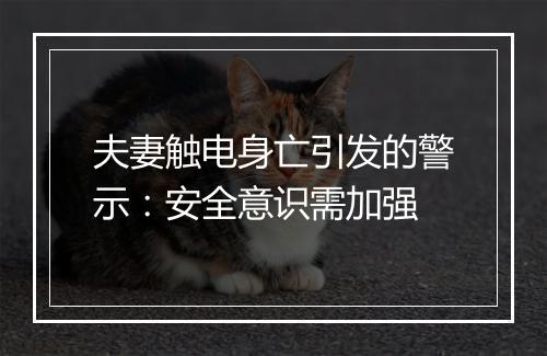 夫妻触电身亡引发的警示：安全意识需加强