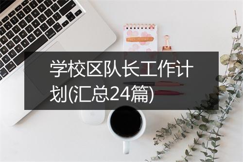 学校区队长工作计划(汇总24篇)