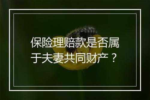 保险理赔款是否属于夫妻共同财产？