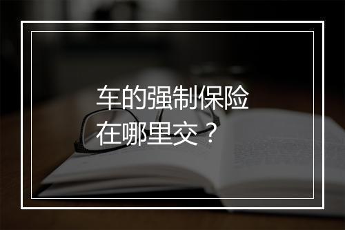 车的强制保险在哪里交？