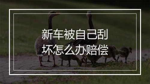 新车被自己刮坏怎么办赔偿