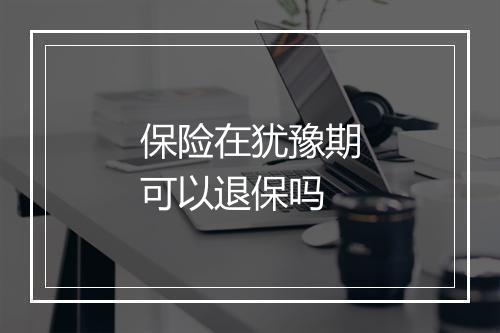 保险在犹豫期可以退保吗