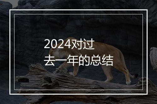 2024对过去一年的总结