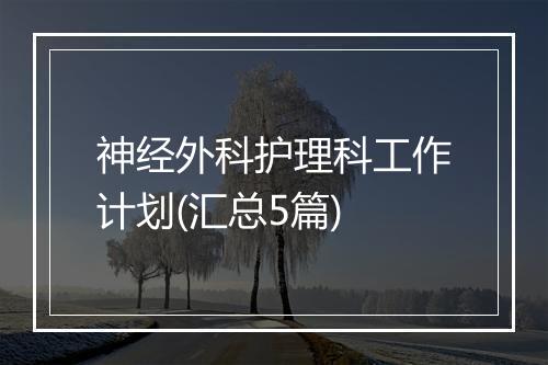 神经外科护理科工作计划(汇总5篇)