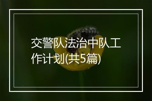 交警队法治中队工作计划(共5篇)
