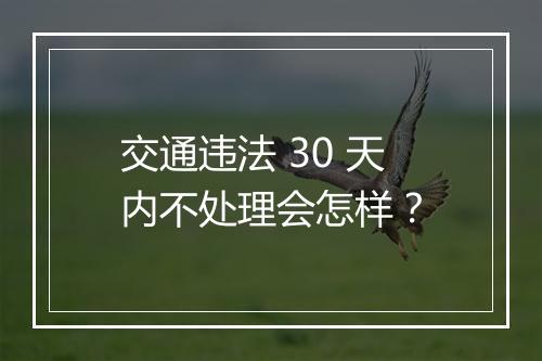 交通违法 30 天内不处理会怎样？