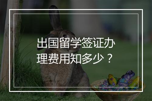 出国留学签证办理费用知多少？