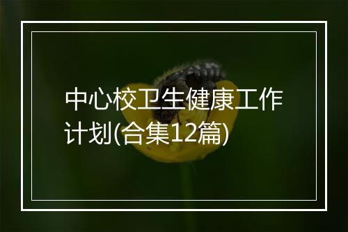 中心校卫生健康工作计划(合集12篇)