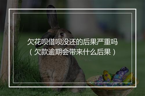 欠花呗借呗没还的后果严重吗（欠款逾期会带来什么后果）