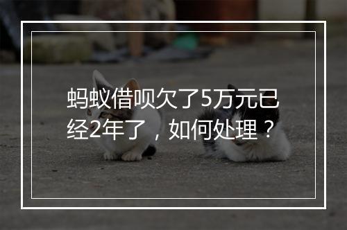 蚂蚁借呗欠了5万元已经2年了，如何处理？