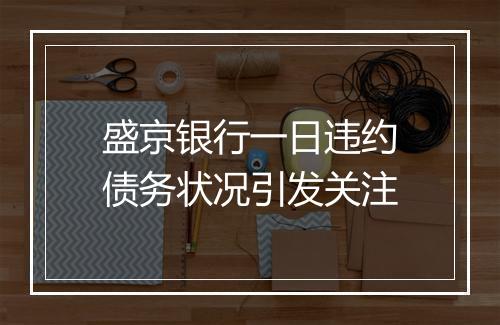 盛京银行一日违约债务状况引发关注