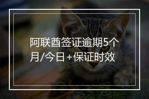 阿联酋签证逾期5个月/今日+保证时效