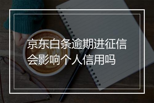 京东白条逾期进征信会影响个人信用吗