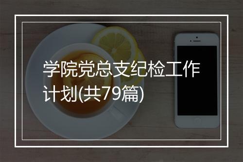 学院党总支纪检工作计划(共79篇)