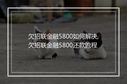 欠招联金融5800如何解决,欠招联金融5800还款流程