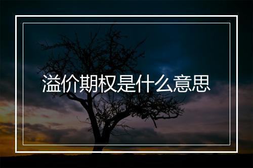 溢价期权是什么意思