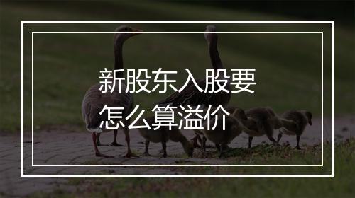 新股东入股要怎么算溢价