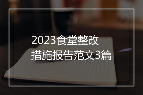 2023食堂整改措施报告范文3篇
