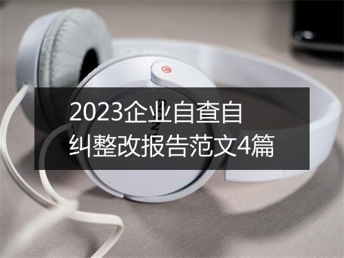 2023企业自查自纠整改报告范文4篇