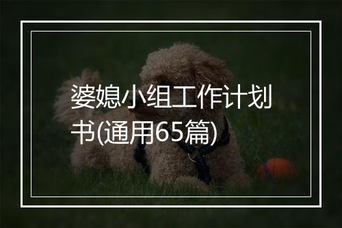 婆媳小组工作计划书(通用65篇)