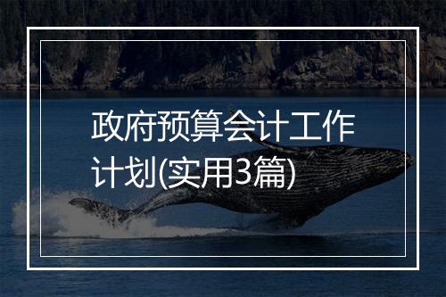 政府预算会计工作计划(实用3篇)