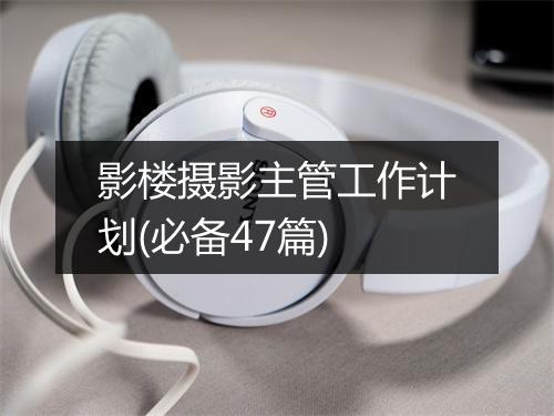 影楼摄影主管工作计划(必备47篇)