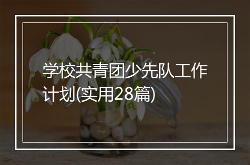 学校共青团少先队工作计划(实用28篇)