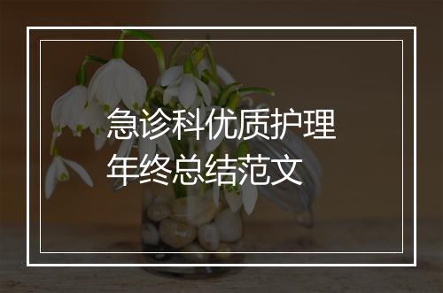 急诊科优质护理年终总结范文