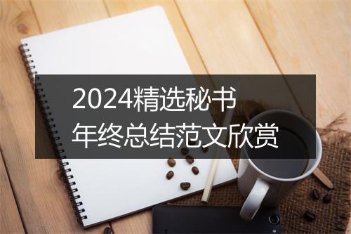 2024精选秘书年终总结范文欣赏