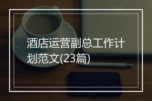 酒店运营副总工作计划范文(23篇)