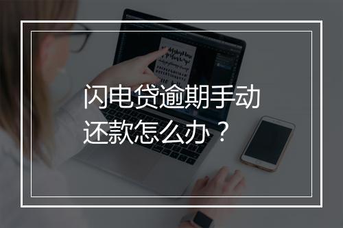 闪电贷逾期手动还款怎么办？