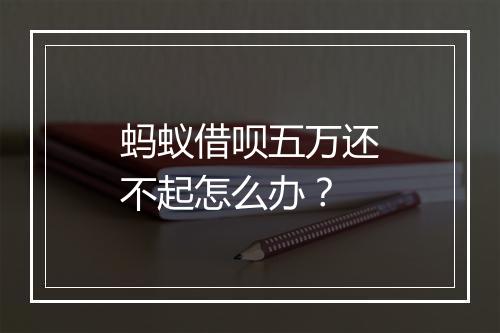 蚂蚁借呗五万还不起怎么办？